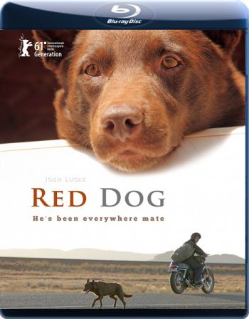 Рыжий пес / Red Dog (2011) - Cмотреть онлайн
